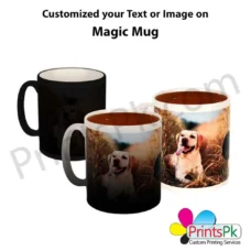 Magic Picture Cup,