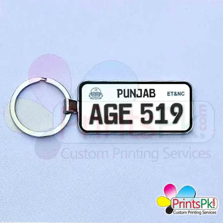 Punjab Number Plate keychain, number plate online