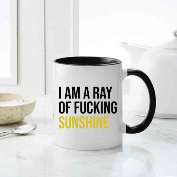 I am ray of fucking sunshine mug, inappropriate gifting mugs