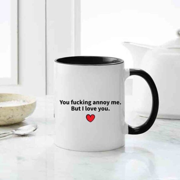 You Fucking annoy me but i love you mug, inappropriate thoughts mugs